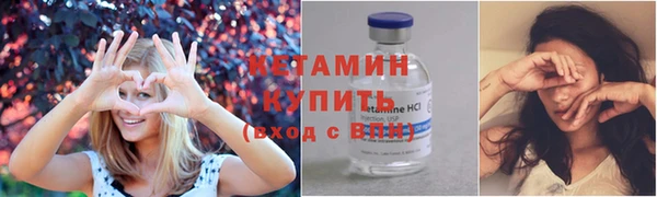 прущие грибы Богородицк