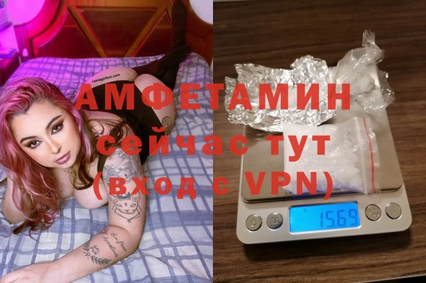 прущие грибы Богородицк