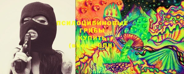 прущие грибы Богородицк