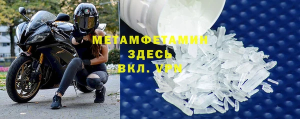 прущие грибы Богородицк