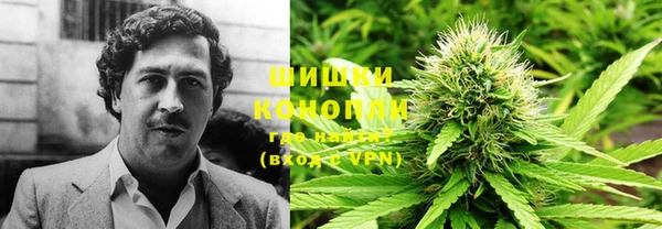 прущие грибы Богородицк