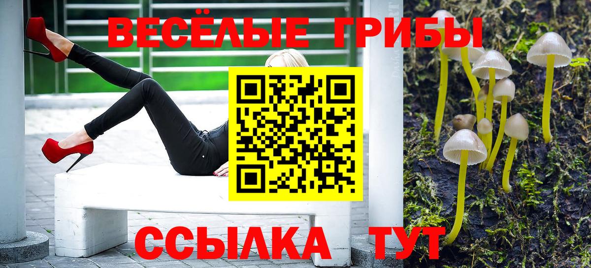 Надым  Псилоцибиновые грибы мухоморы  Вход с VPN  Галлюциногенные грибы ЛСД 