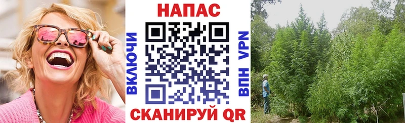 Канабис SATIVA & INDICA Надым
